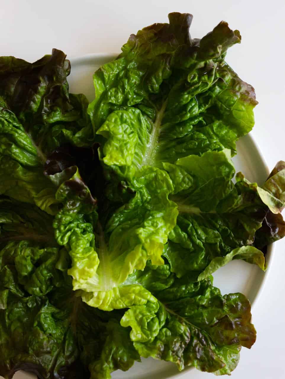 wash and dry lettuce leaves