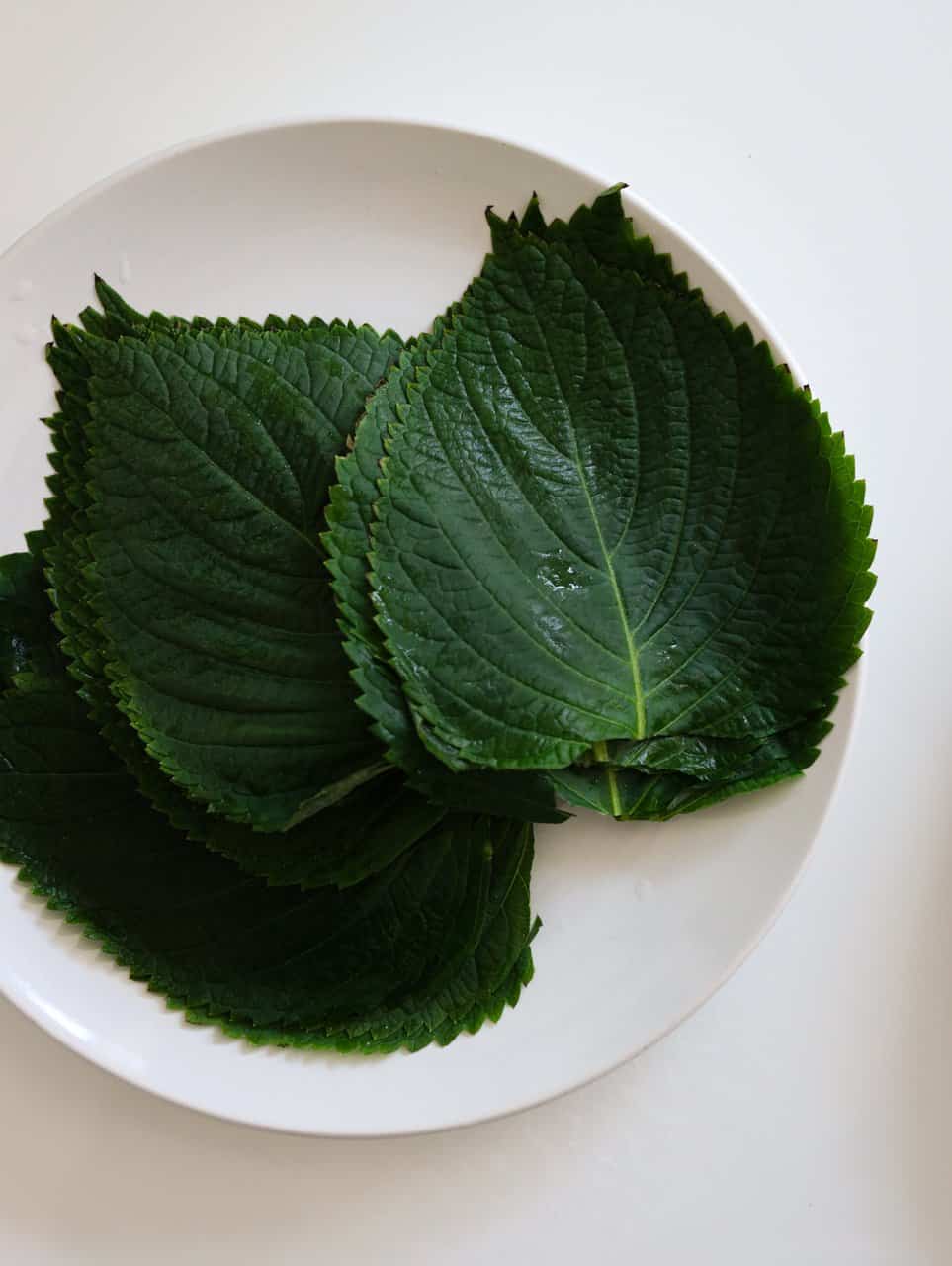 Trim the ends off of perilla leaves and wash and dry them off