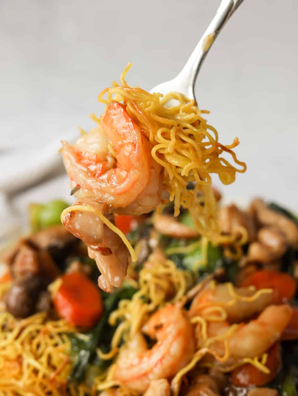 Crispy Chow Mein Noodles