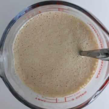 Active dry yeast dissolved in warm milk until thick and frothy.