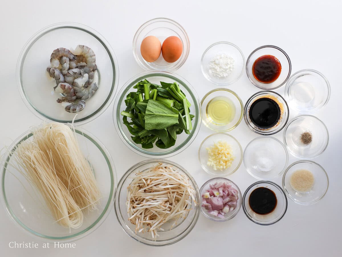 Rice vermicelli, shrimp, eggs, yu choy, bean sprouts, shallots, garlic, and bihun goreng sauce ingredients.