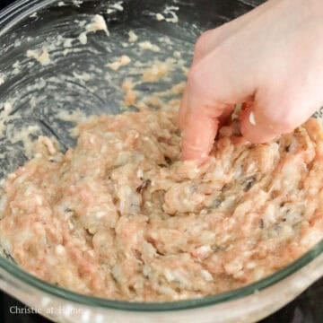 Pork and shrimp dumpling filling mixed until sticky and cohesive.