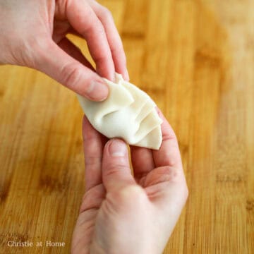 Pork and shrimp dumpling folded and pleated into a classic dumpling shape.
