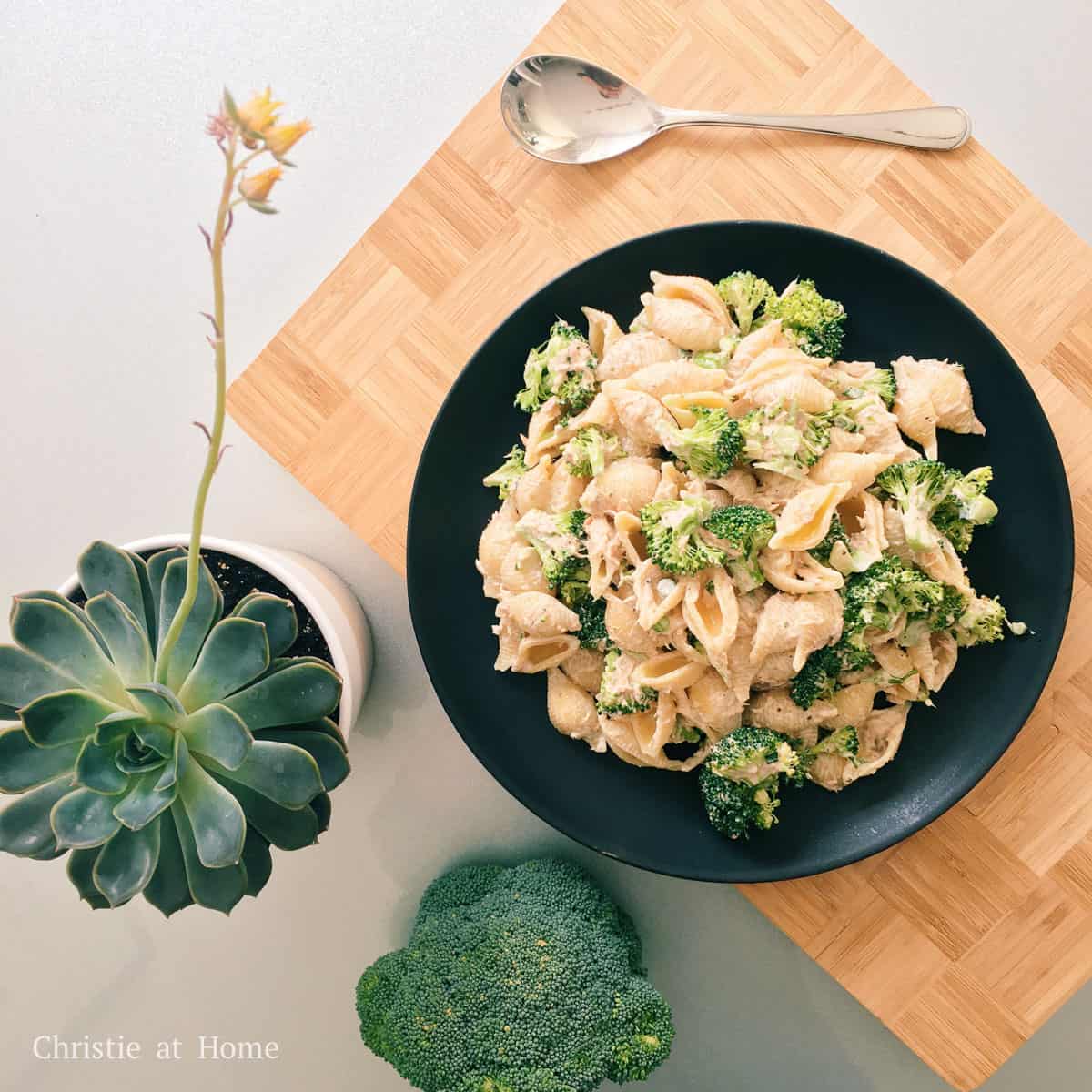 Tuna Pasta Salad