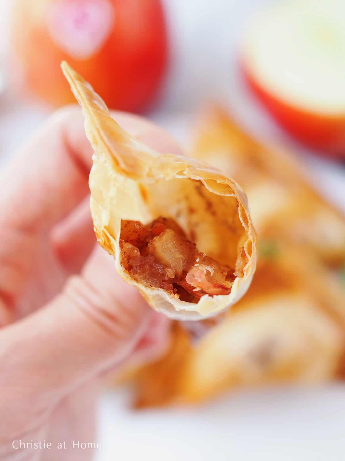 apple cinnamon wontons