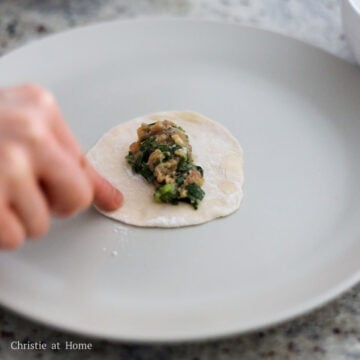 Place 1 levelled off tablespoon of the pork filling in the center of the wrapper. Do not over fill. Lightly dab cold water on the edges of the wrapper.