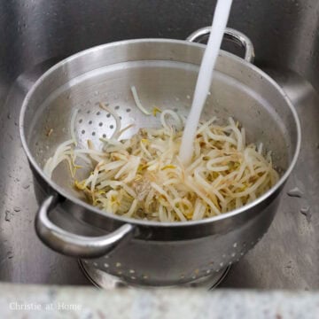 Blanched bean sprouts rinsed in very cold water to stop cooking.