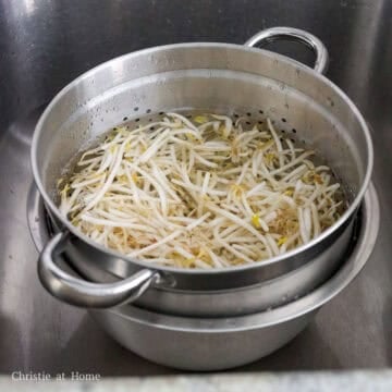 Mung bean sprouts rinsed under cold water until clean.