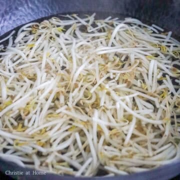 Mung bean sprouts blanching in boiling water.